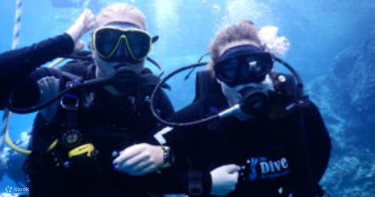 Rasakan Sensasi PADI Cobalah Scuba Diving di Koh Samui dengan PADI 5